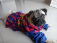 /album/fotogaleria/cules-por-todo-el-mundo-jpg/